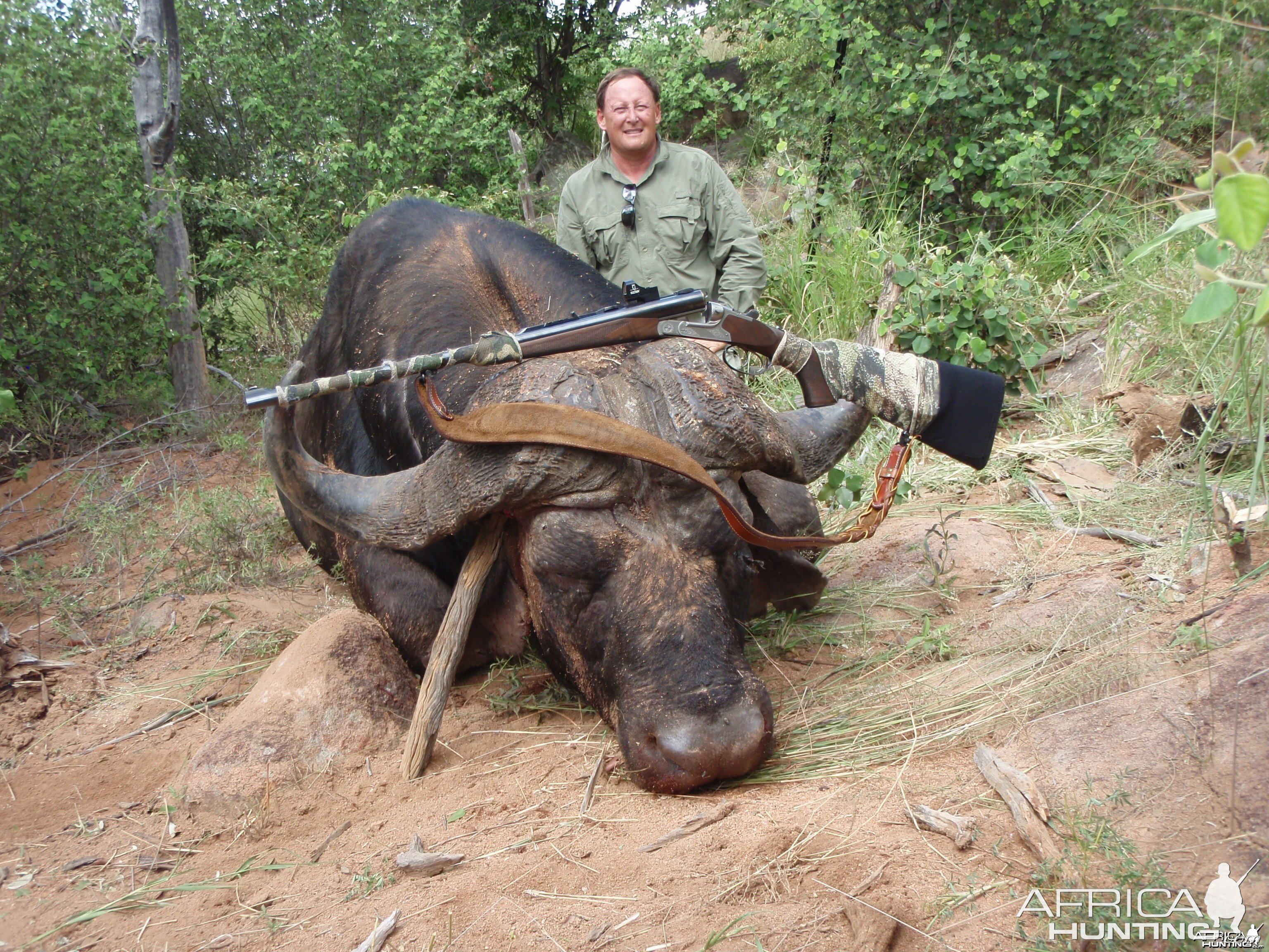 Buffalo Sengwe 1 Big Game Area Zimbabwe