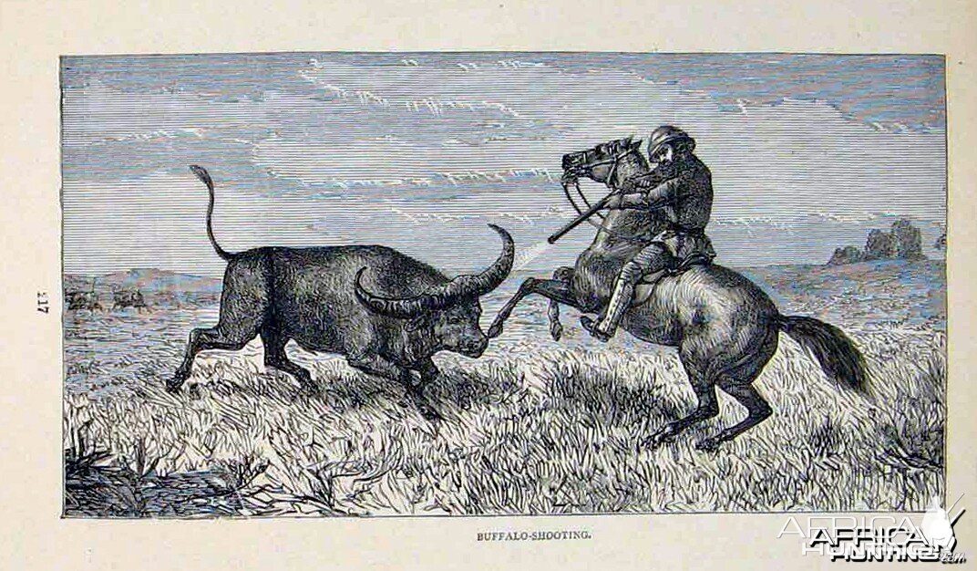 Buffalo Shooting