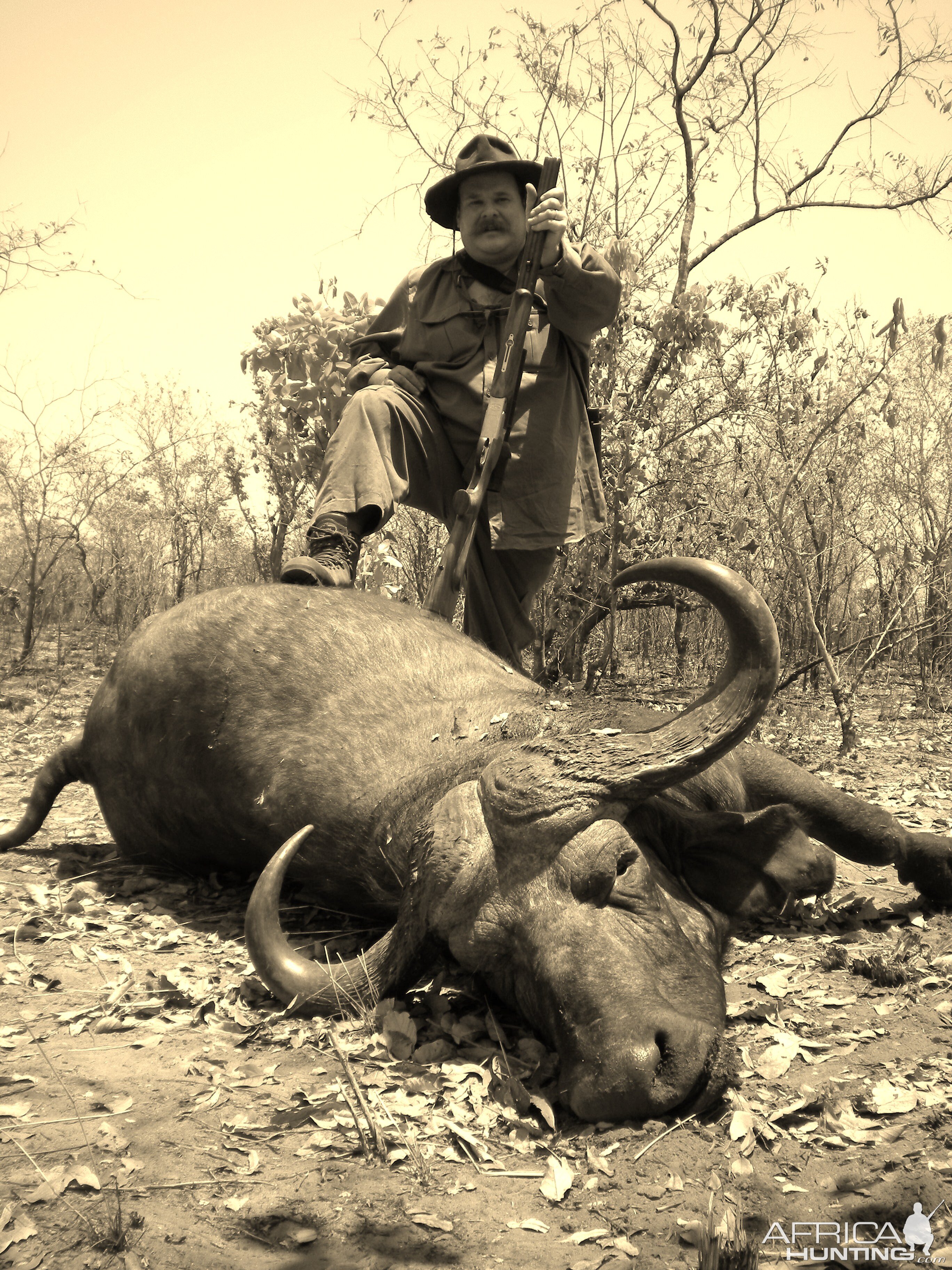 Buffalo shot two days ago in Zimbabwe