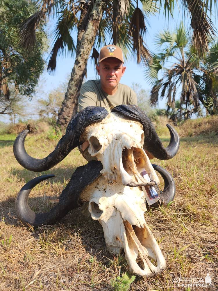 Buffalo Skull Mozambique