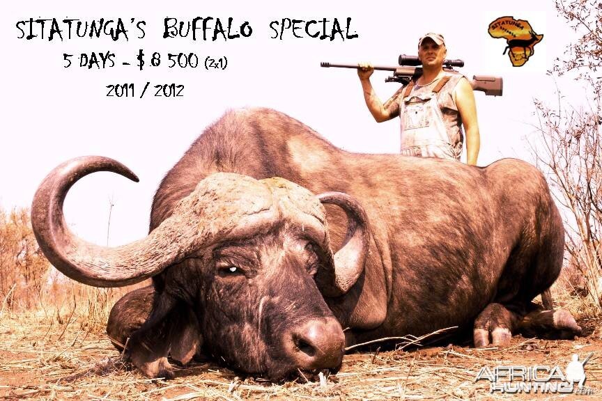 BUFFALO SPECIAL AH