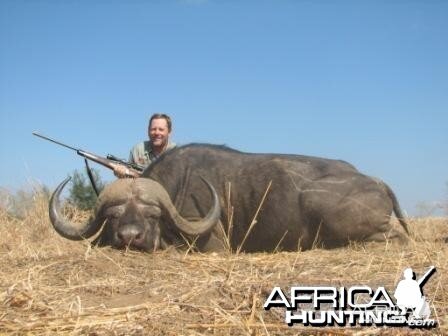 Buffalo taken along the Limpopo River in Sengwe 1