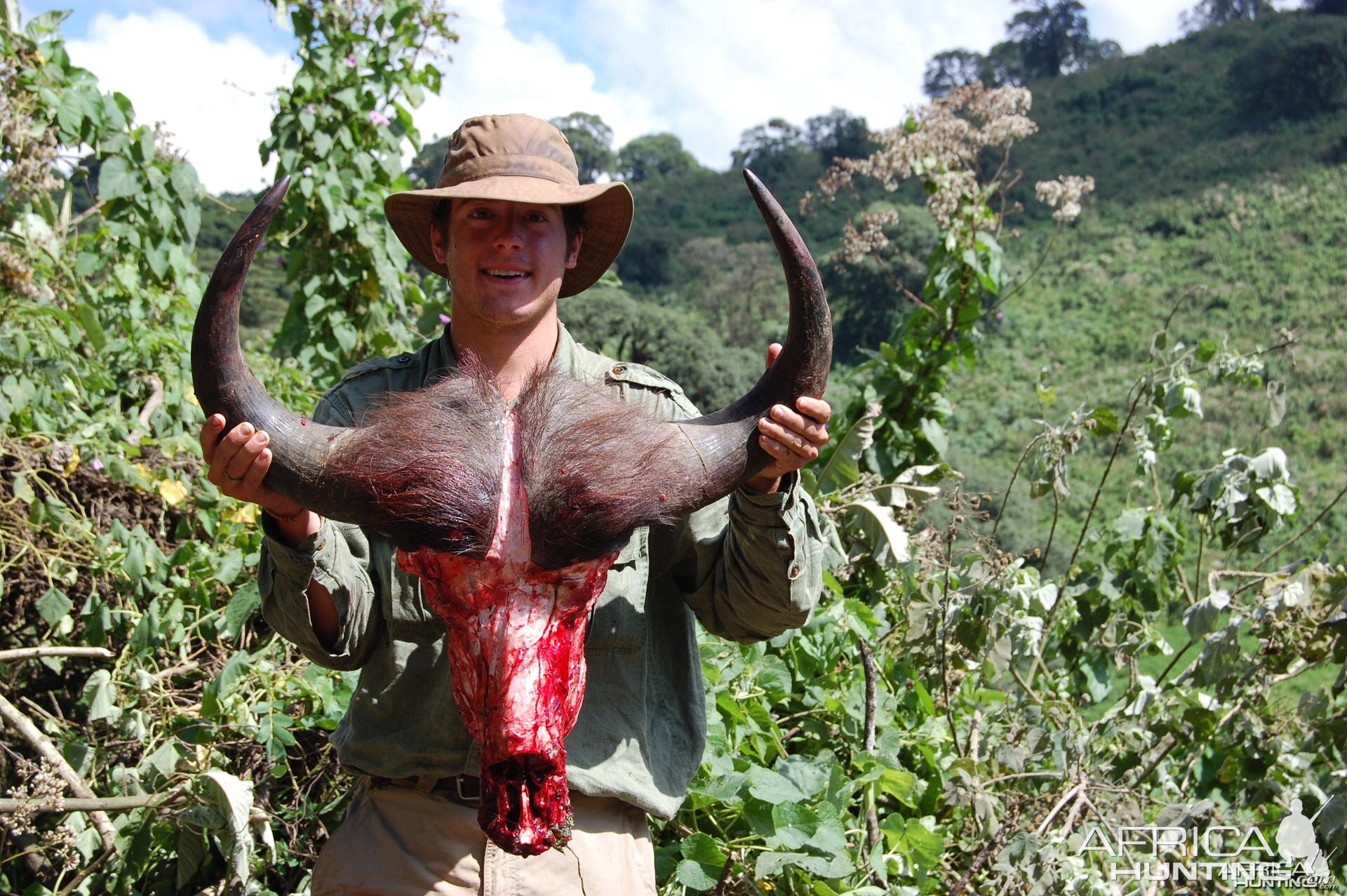 Buffalo Tanzania