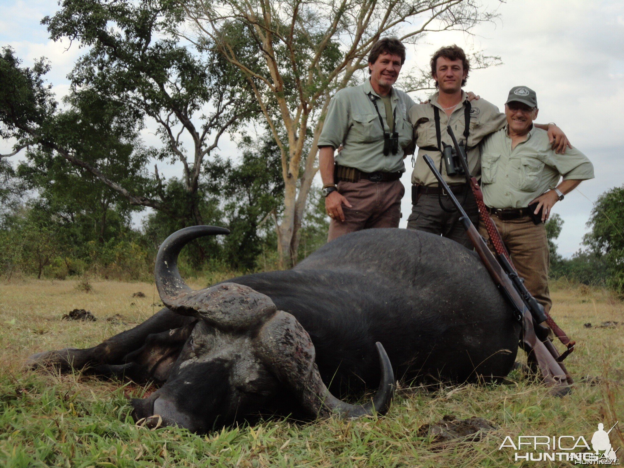 Buffalo Tanzania