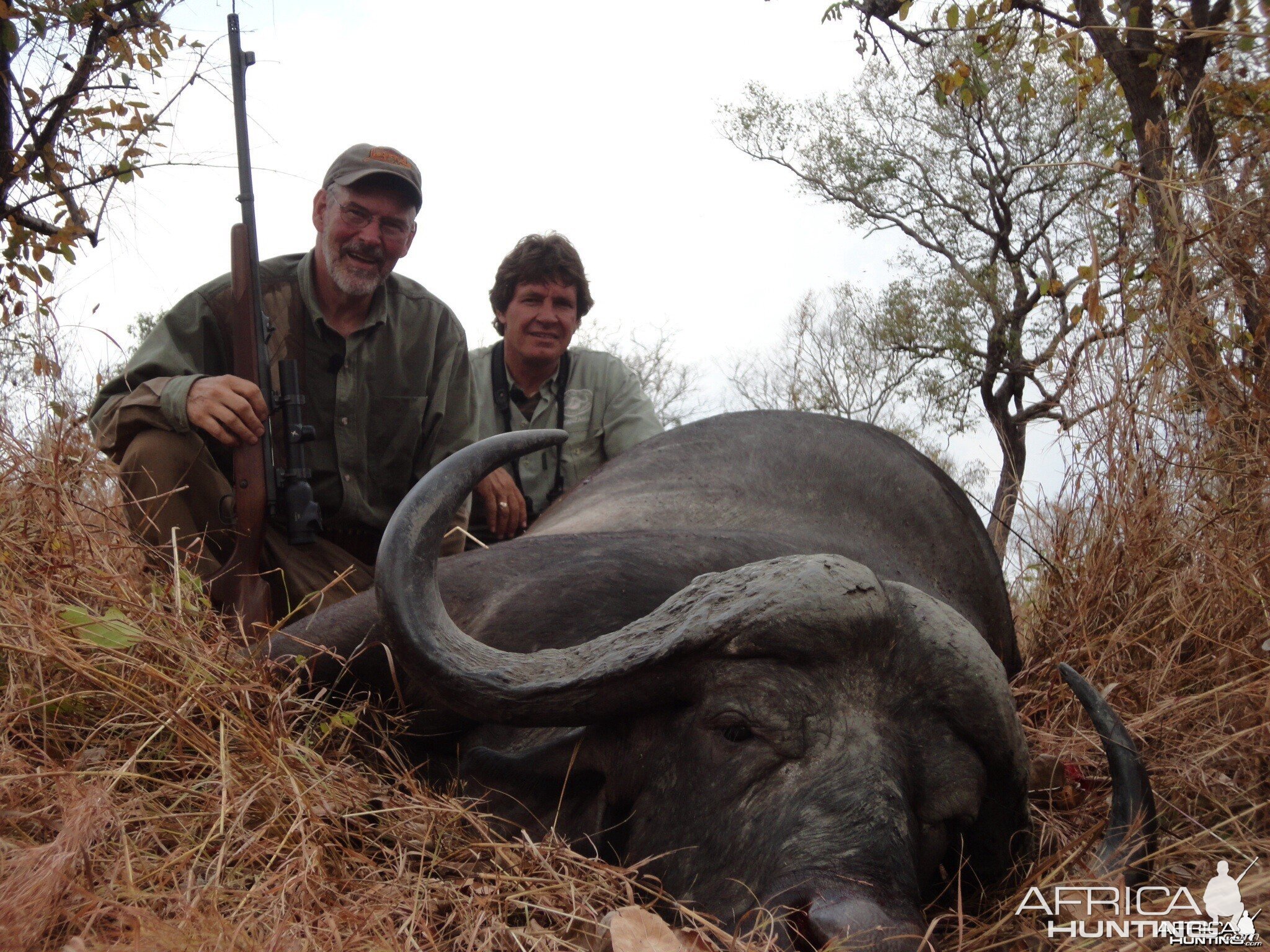 Buffalo Tanzania