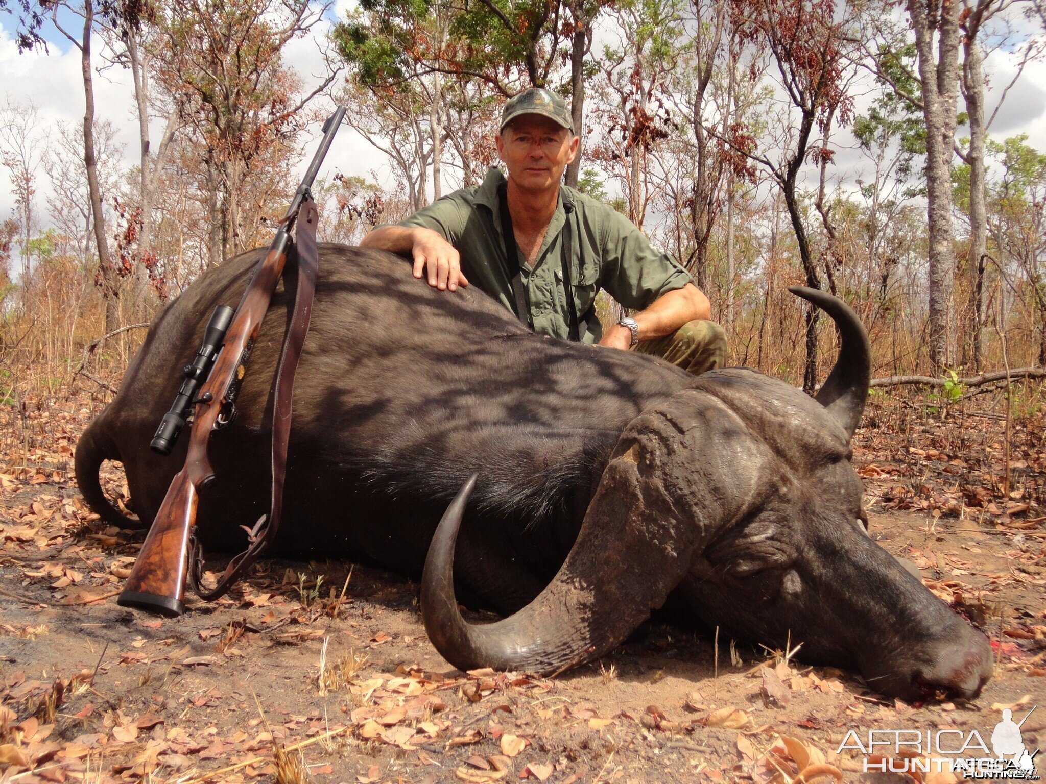 Buffalo Tanzania