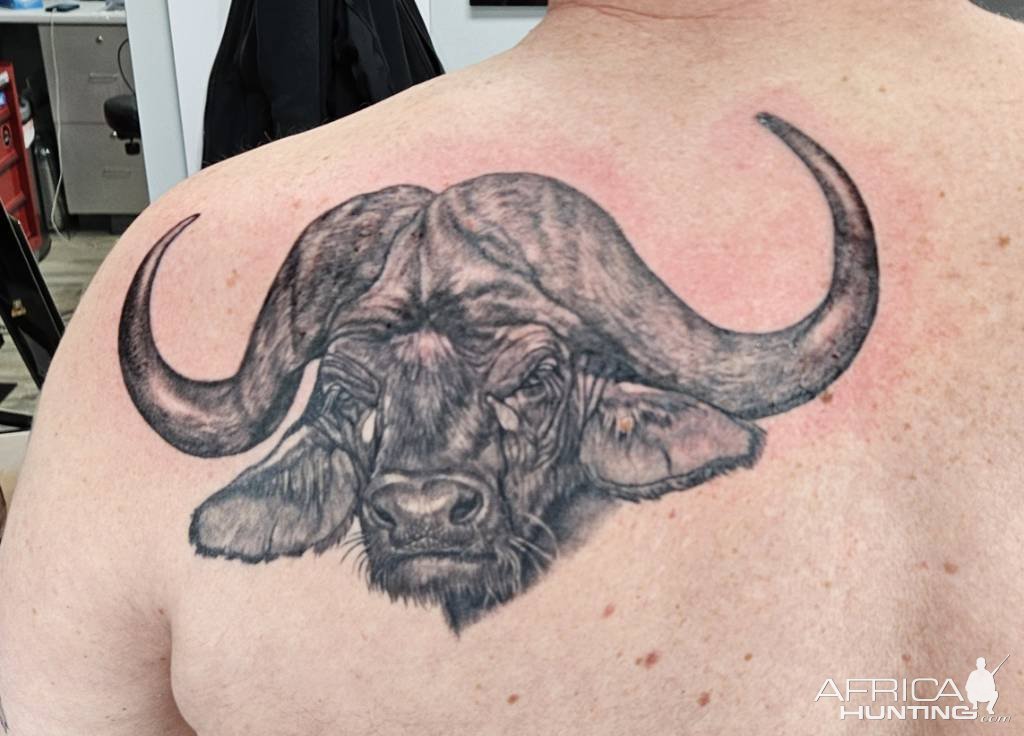 Buffalo Tatoo