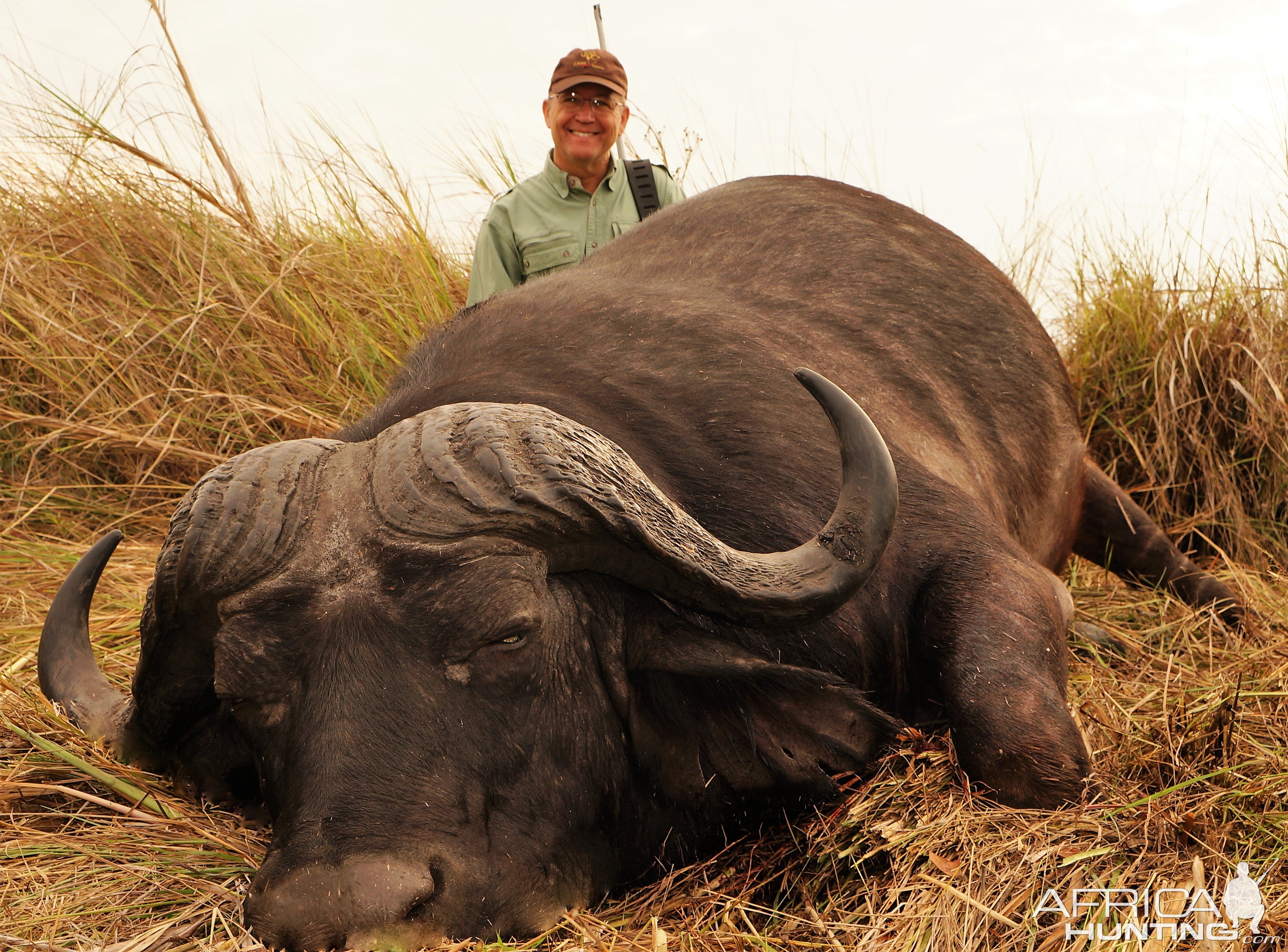 Buffalo Western Tanzania Kigosi Central