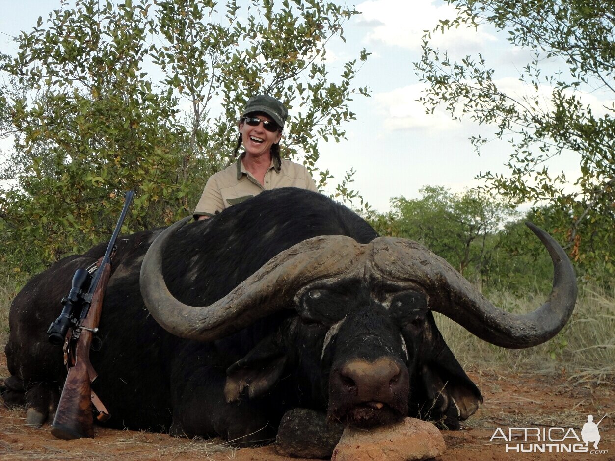 Buffalo - Wintershoek Johnny Vivier Safaris in South Africa