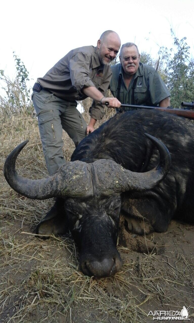 Buffalo Zimbabwe - my son Louis