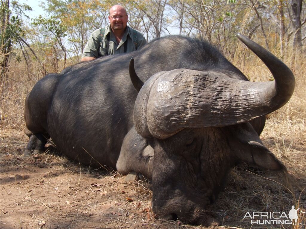 Buffalo Zimbabwe