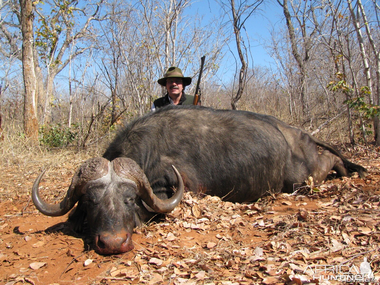 Buffalo Zimbabwe