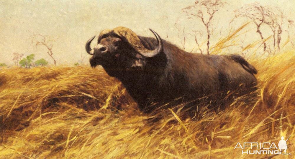 Buffalo