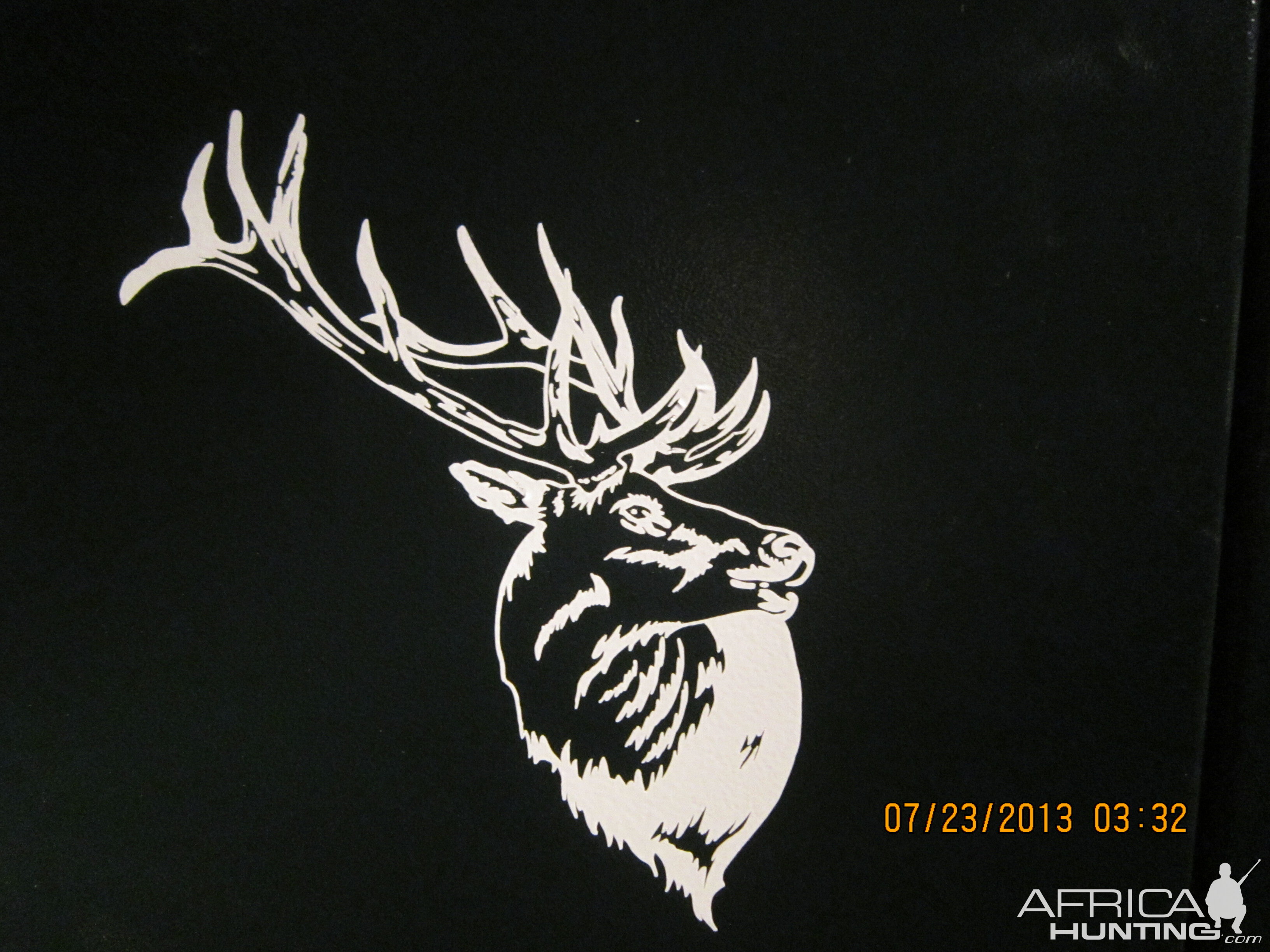 Bugling Elk Decal Stickers