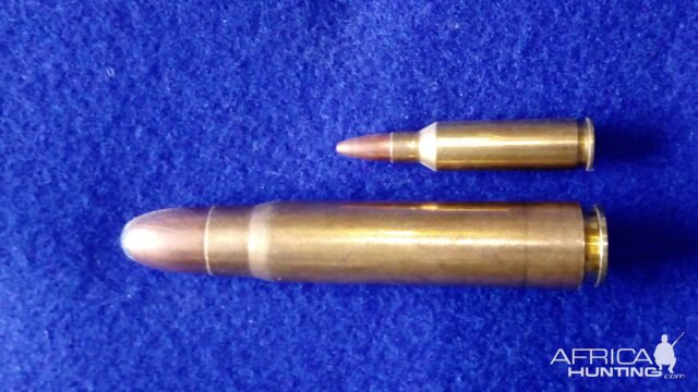 Bullet Comparison