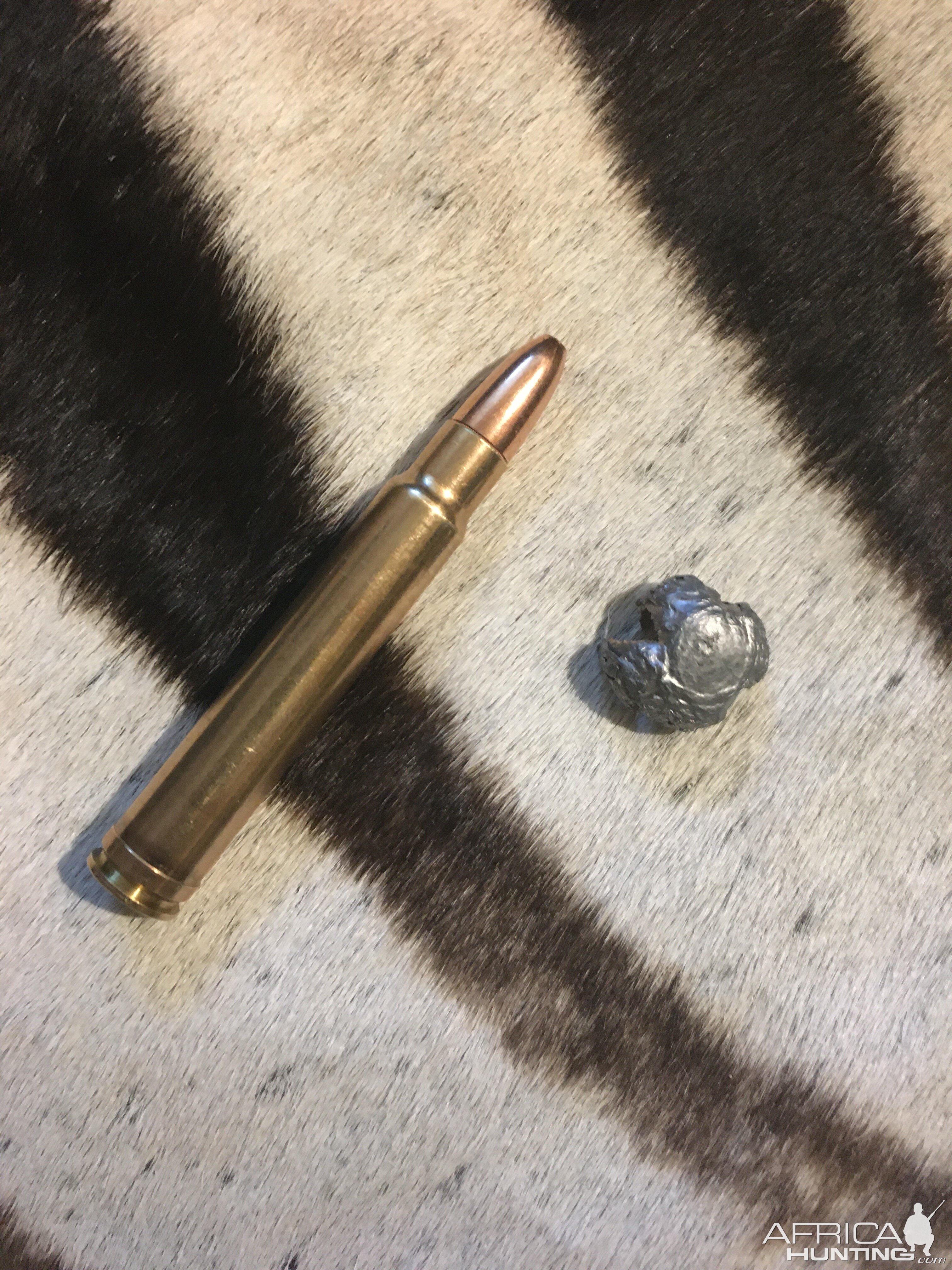 Bullet Performance