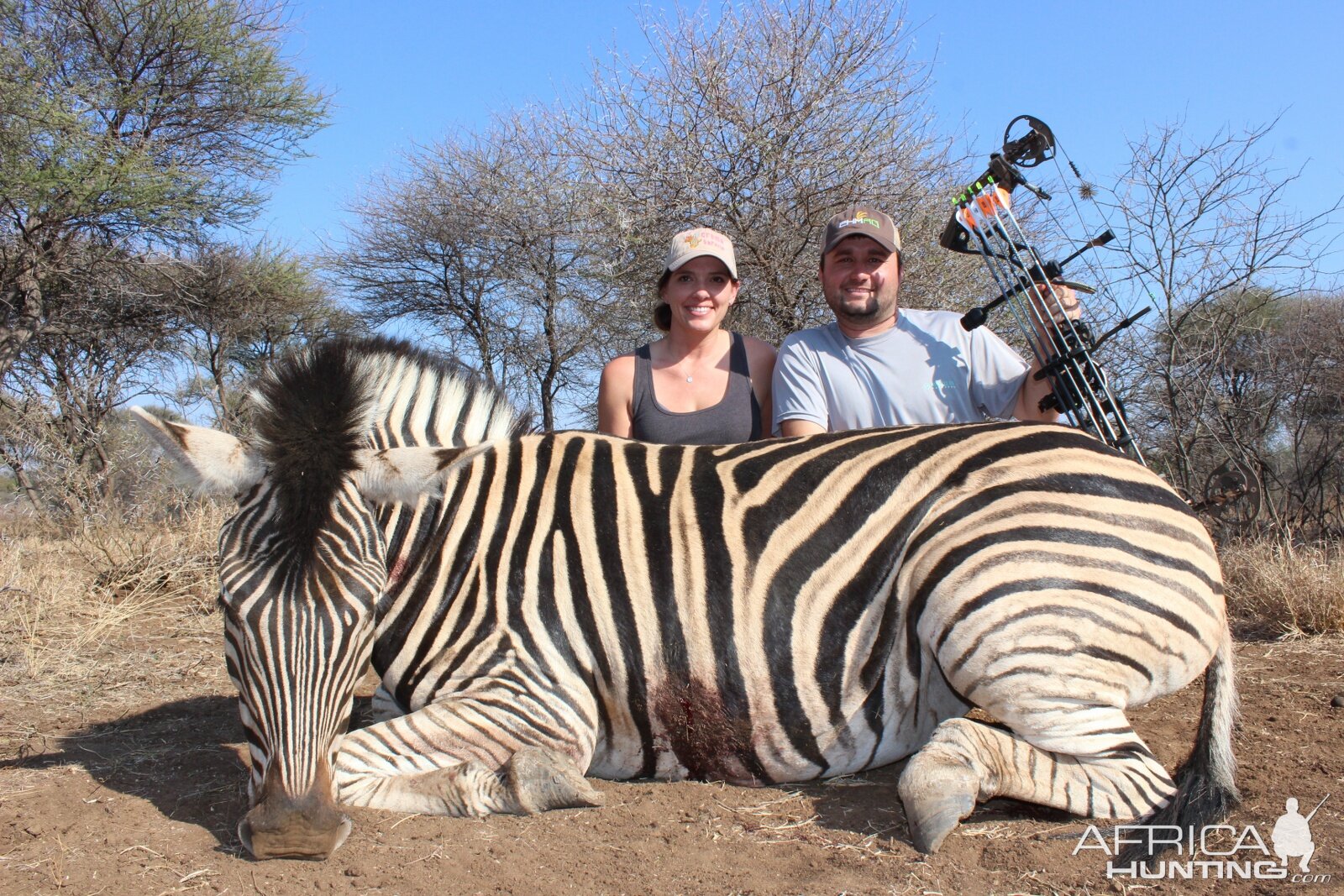 Burchell's Plain Zebra Bow Hunting South Africa