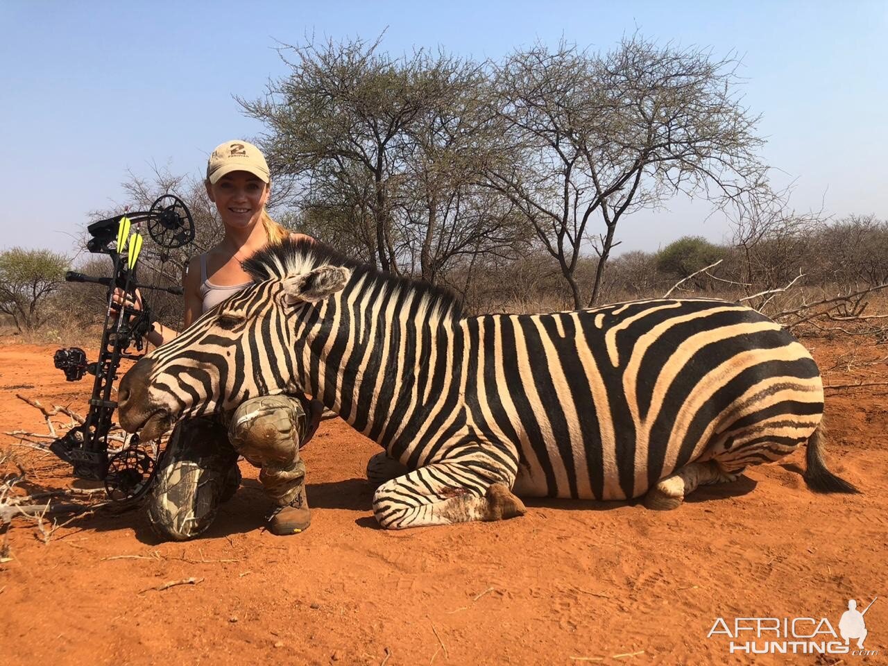 Burchell's Plain Zebra Bow Hunting South Africa