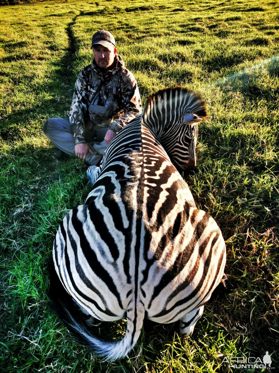 Burchell's Plain Zebra Bow Hunting South Africa