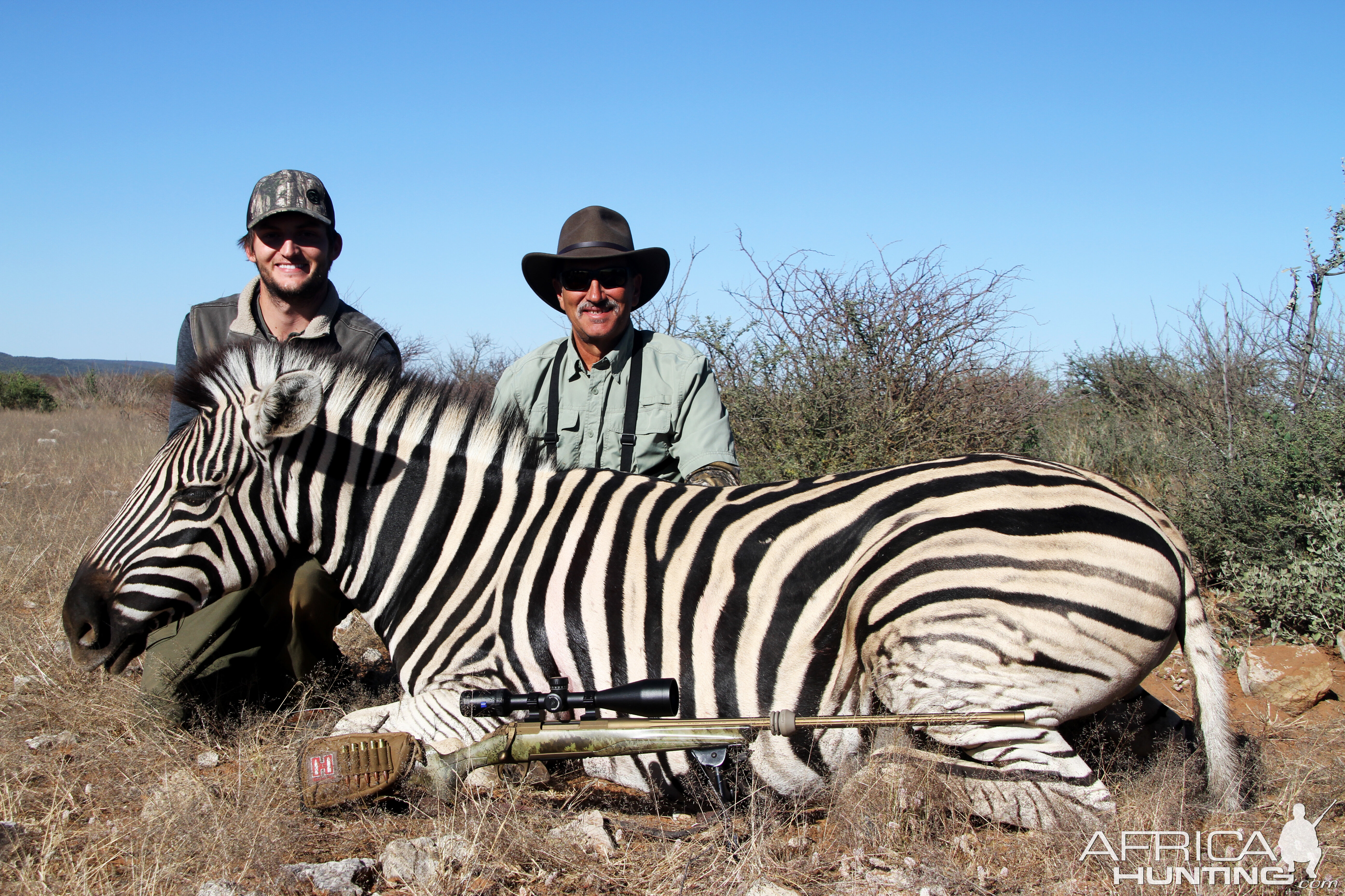 Burchell's Plain Zebra Hunt in Namibia