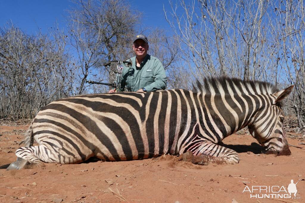 Burchell's Plain Zebra Hunt in South Africa