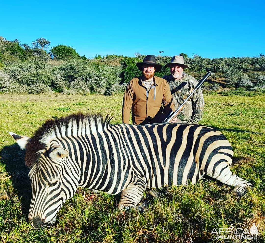 Burchell's Plain Zebra Hunt in South Africa