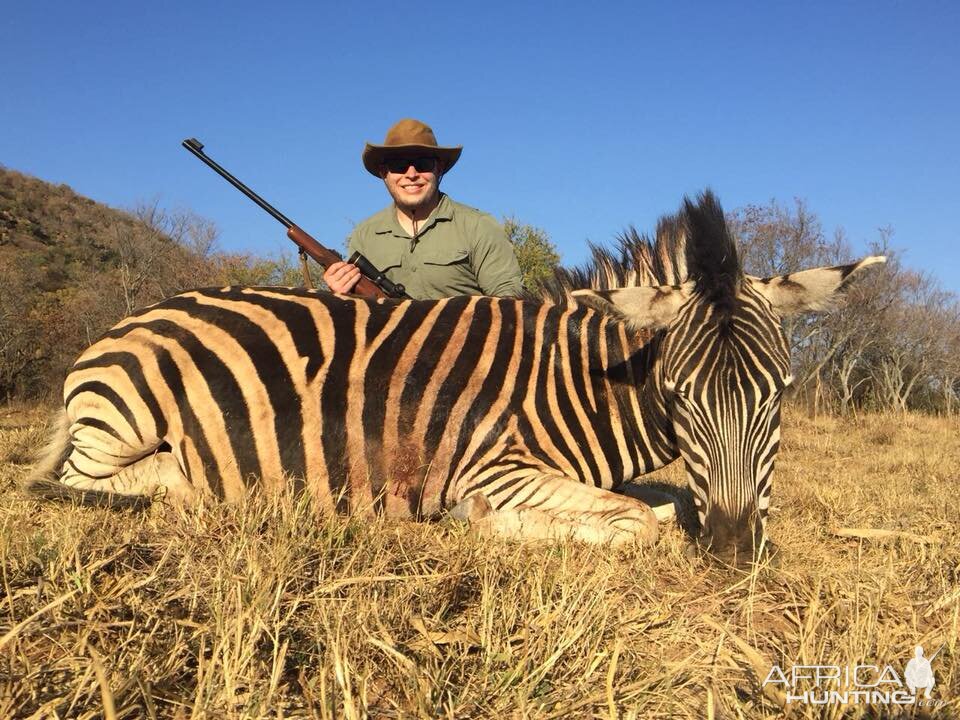 Burchell's Plain Zebra Hunt in South Africa