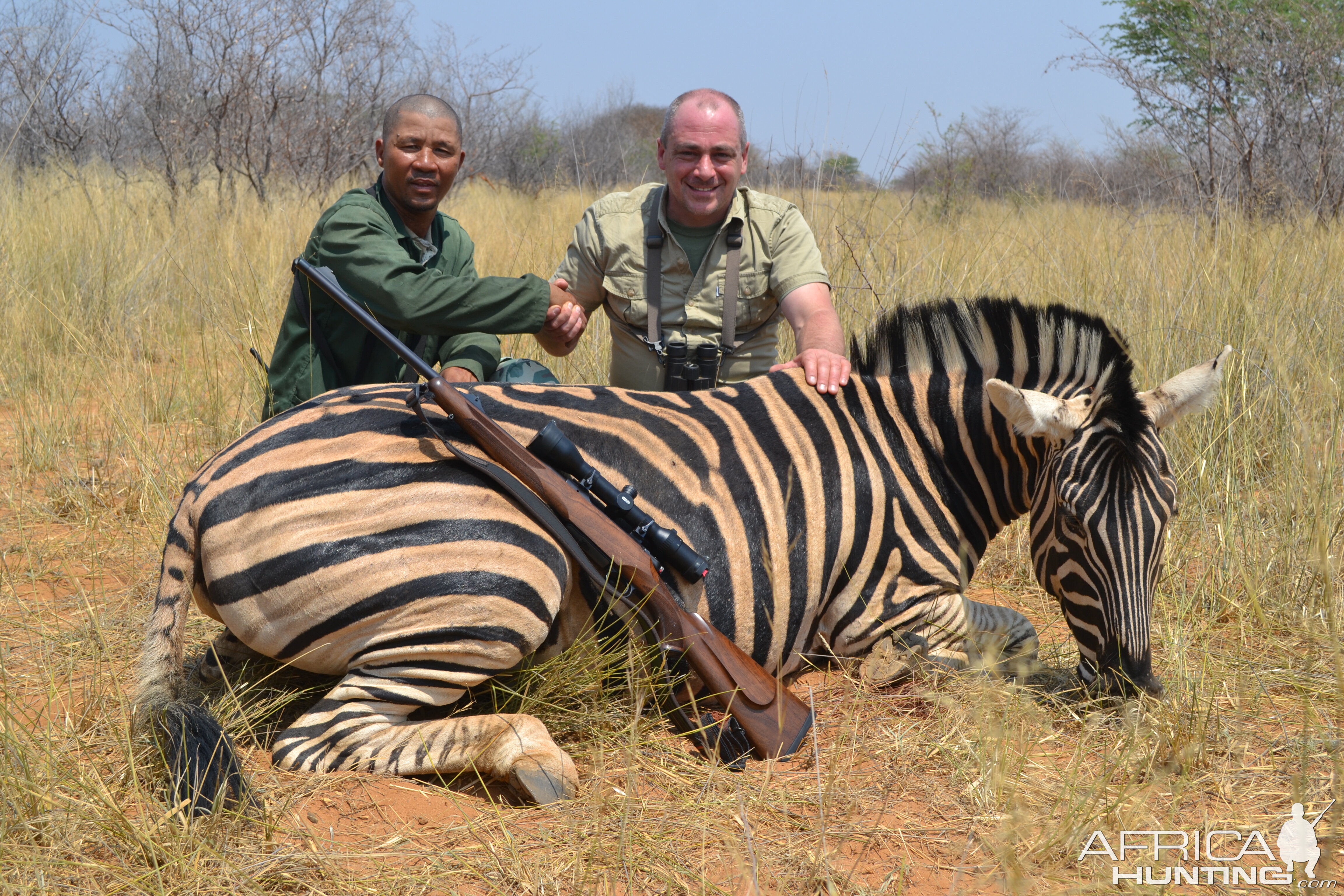 Burchell's Plain Zebra Hunt Namibia