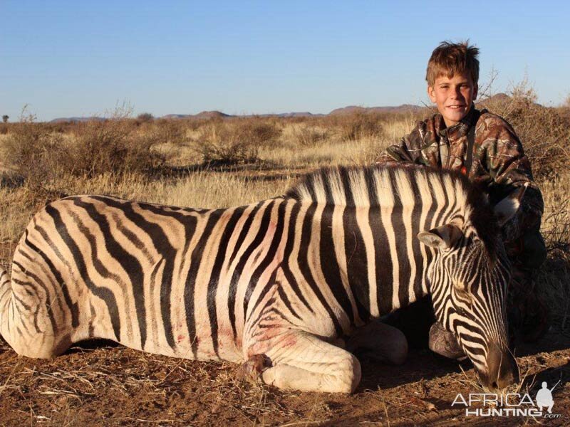 Burchell's Plain Zebra Hunt Namibia