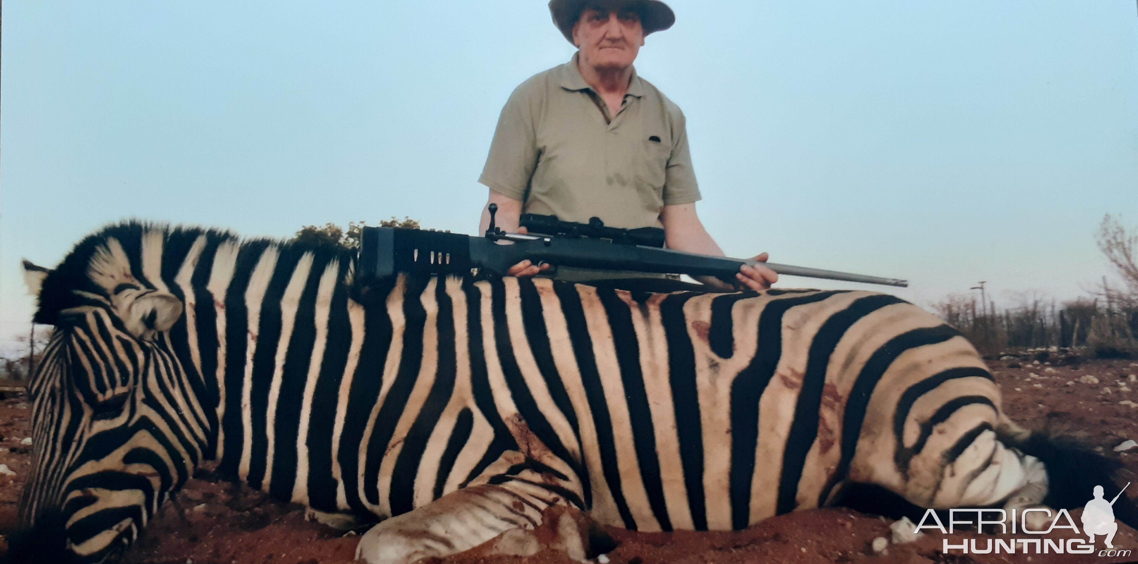 Burchell's Plain Zebra Hunt Namibia