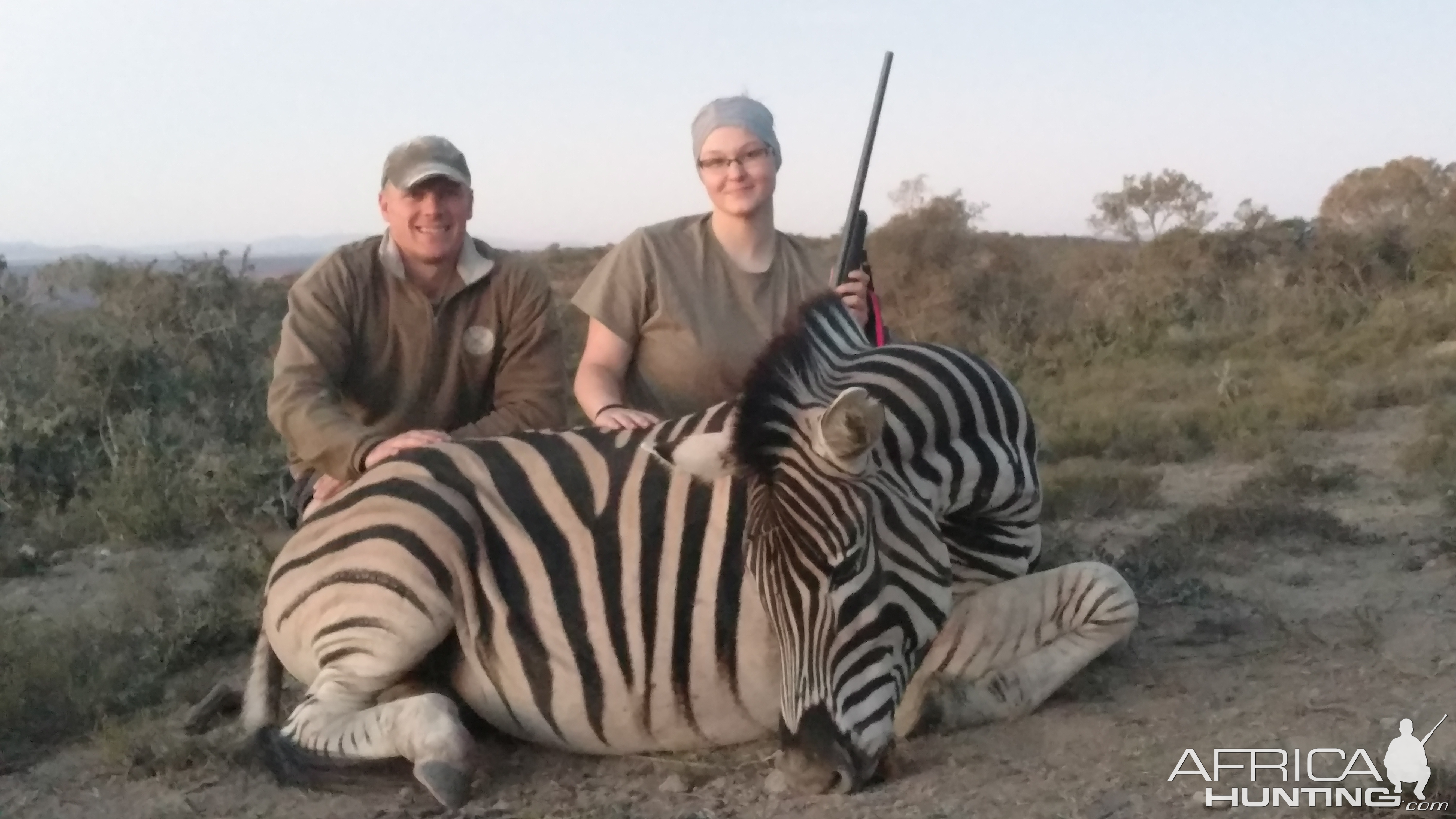 Burchell's Plain Zebra Hunt South Africa