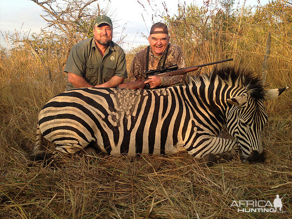 Burchell's Plain Zebra Hunt South Africa