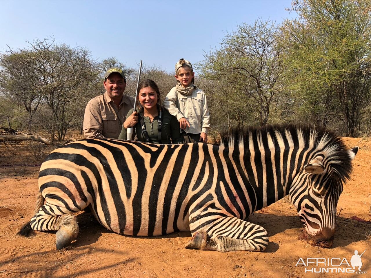 Burchell's Plain Zebra Hunt South Africa