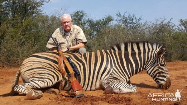 Burchell's Plain Zebra Hunt South Africa