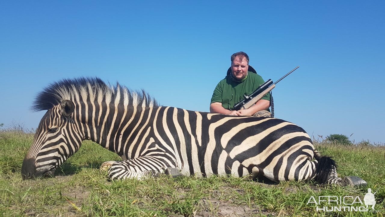 Burchell's Plain Zebra Hunt South Africa