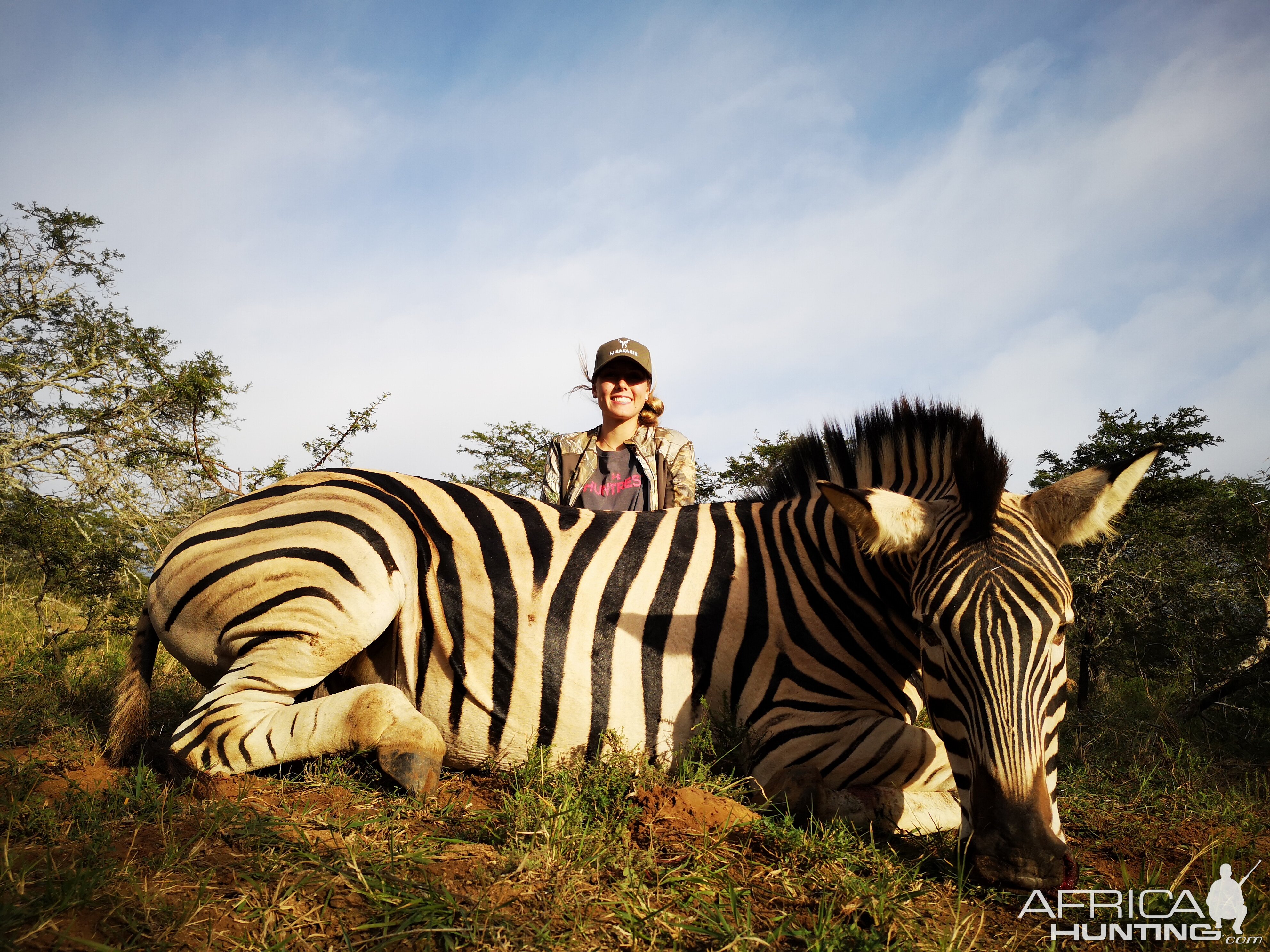 Burchell's Plain Zebra Hunt South Africa