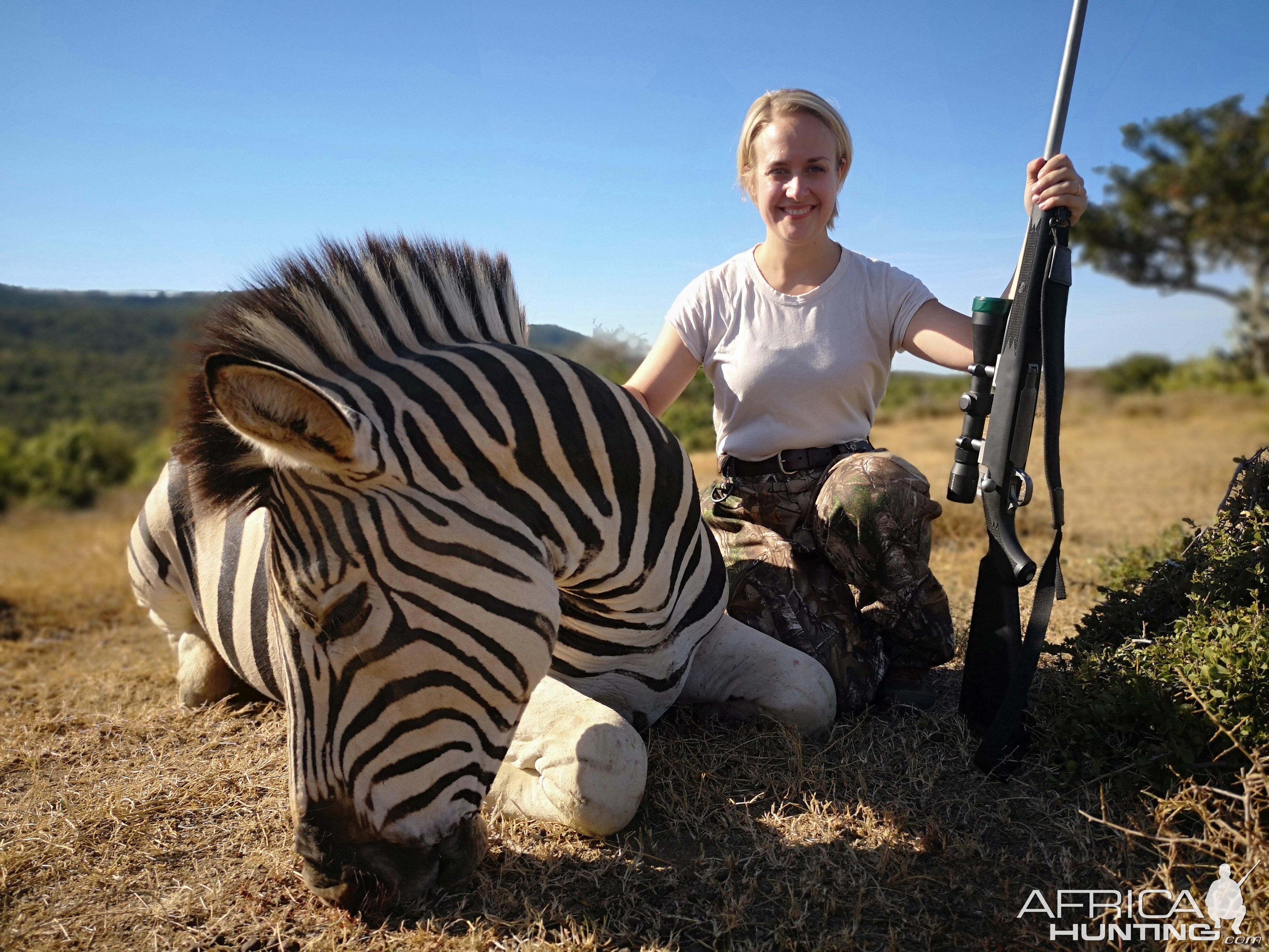 Burchell's Plain Zebra Hunt South Africa