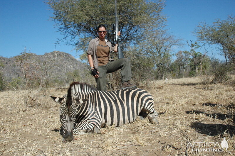 Burchell's Plain Zebra Hunt Zimbabwe