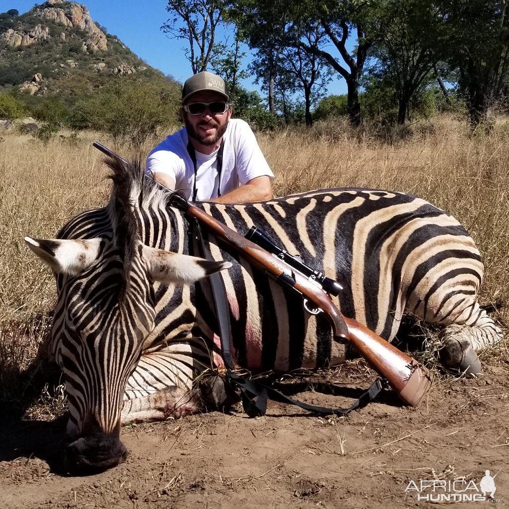 Burchell's Plain Zebra Hunt Zimbabwe