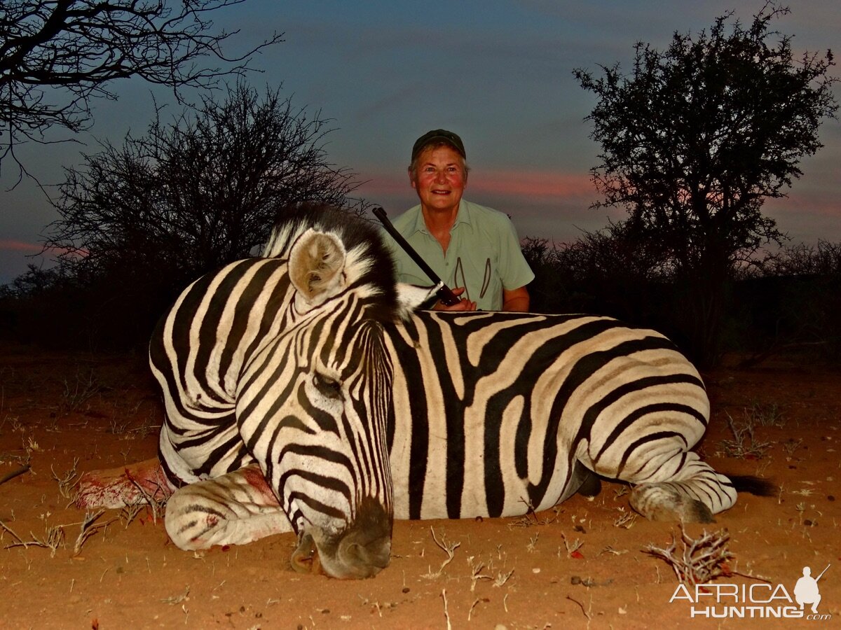 Burchell's Plain Zebra Hunt