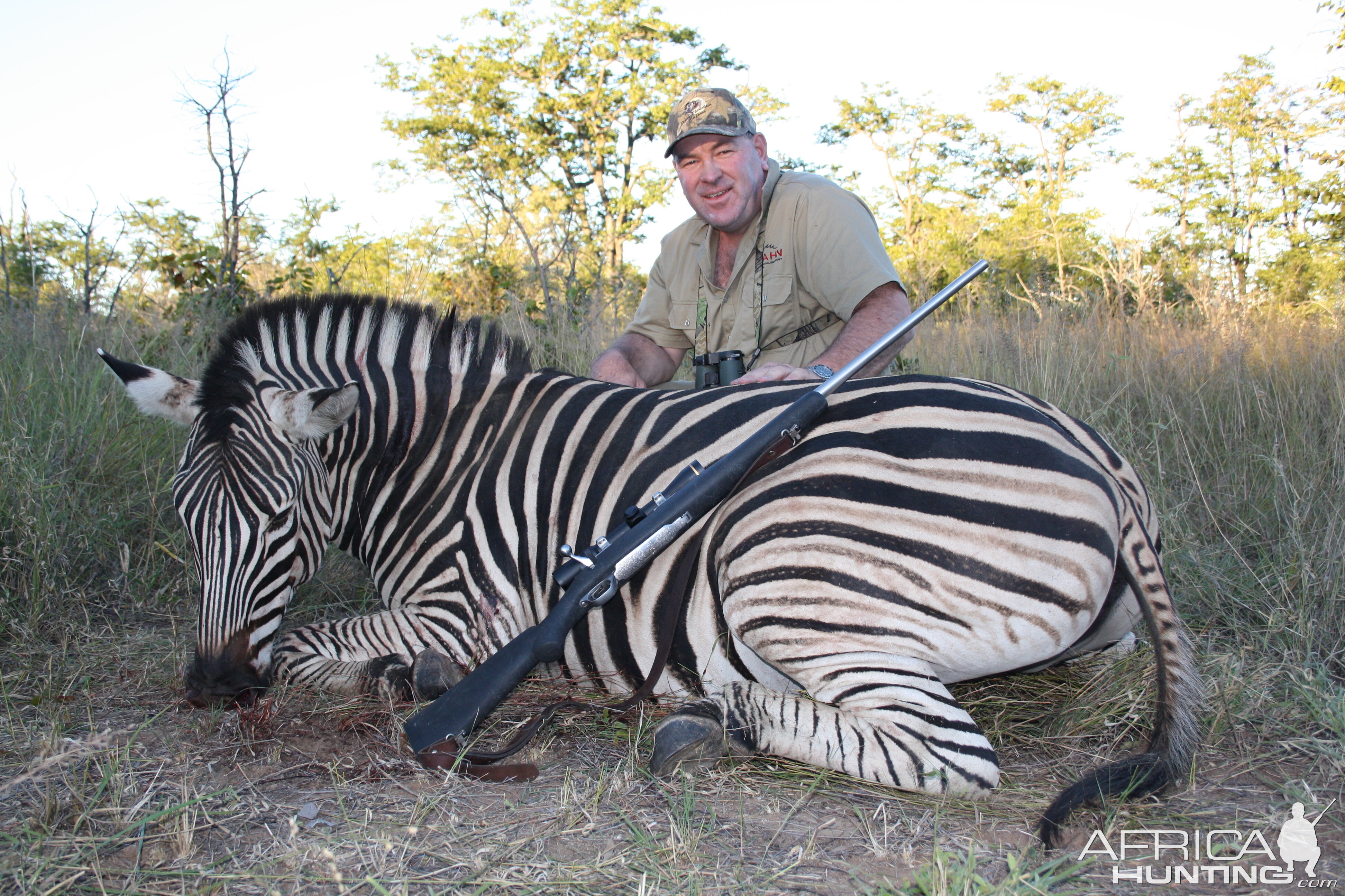 Burchell's Plain Zebra Hunt