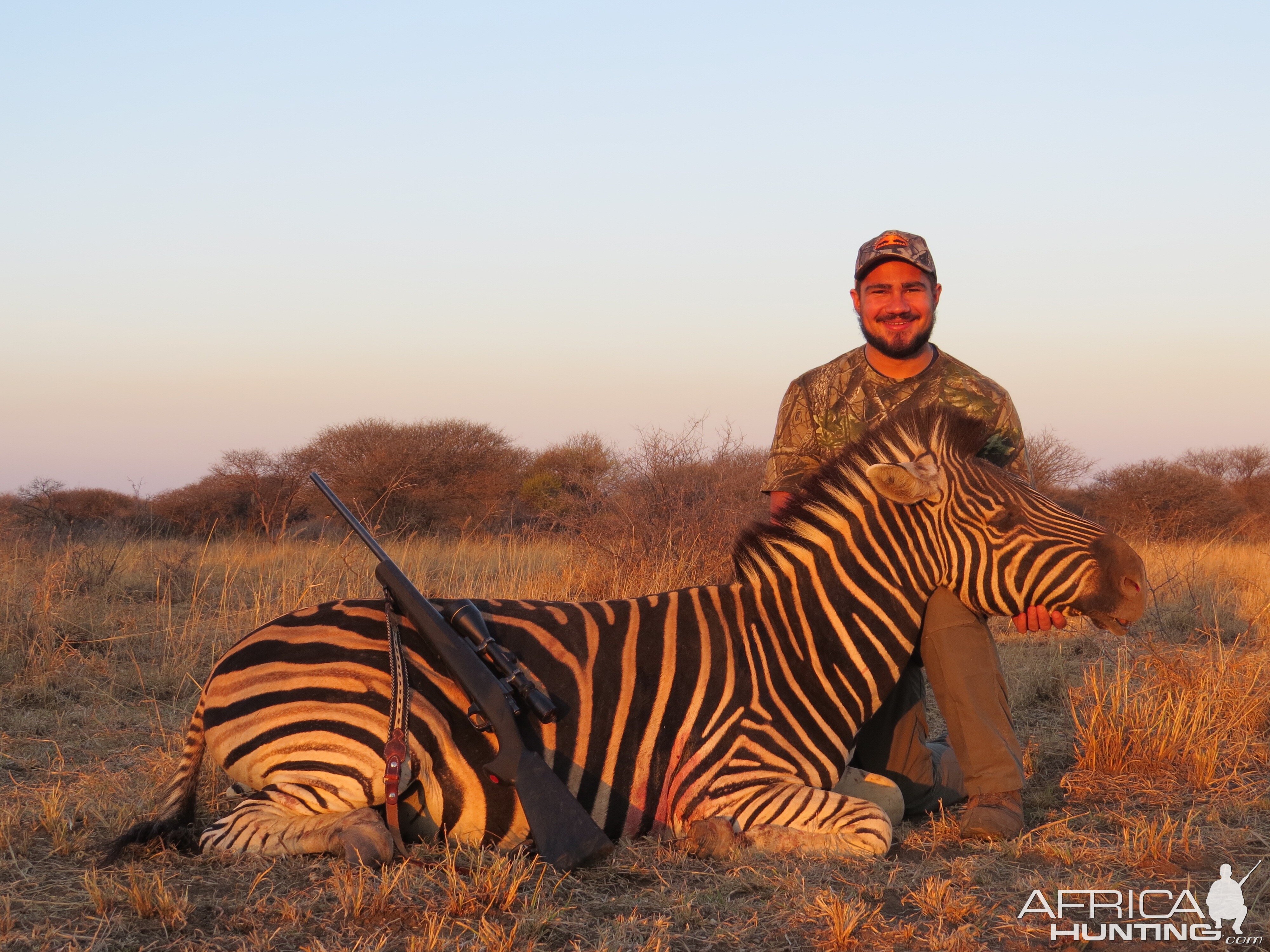 Burchell's Plain Zebra Hunting in South Africa