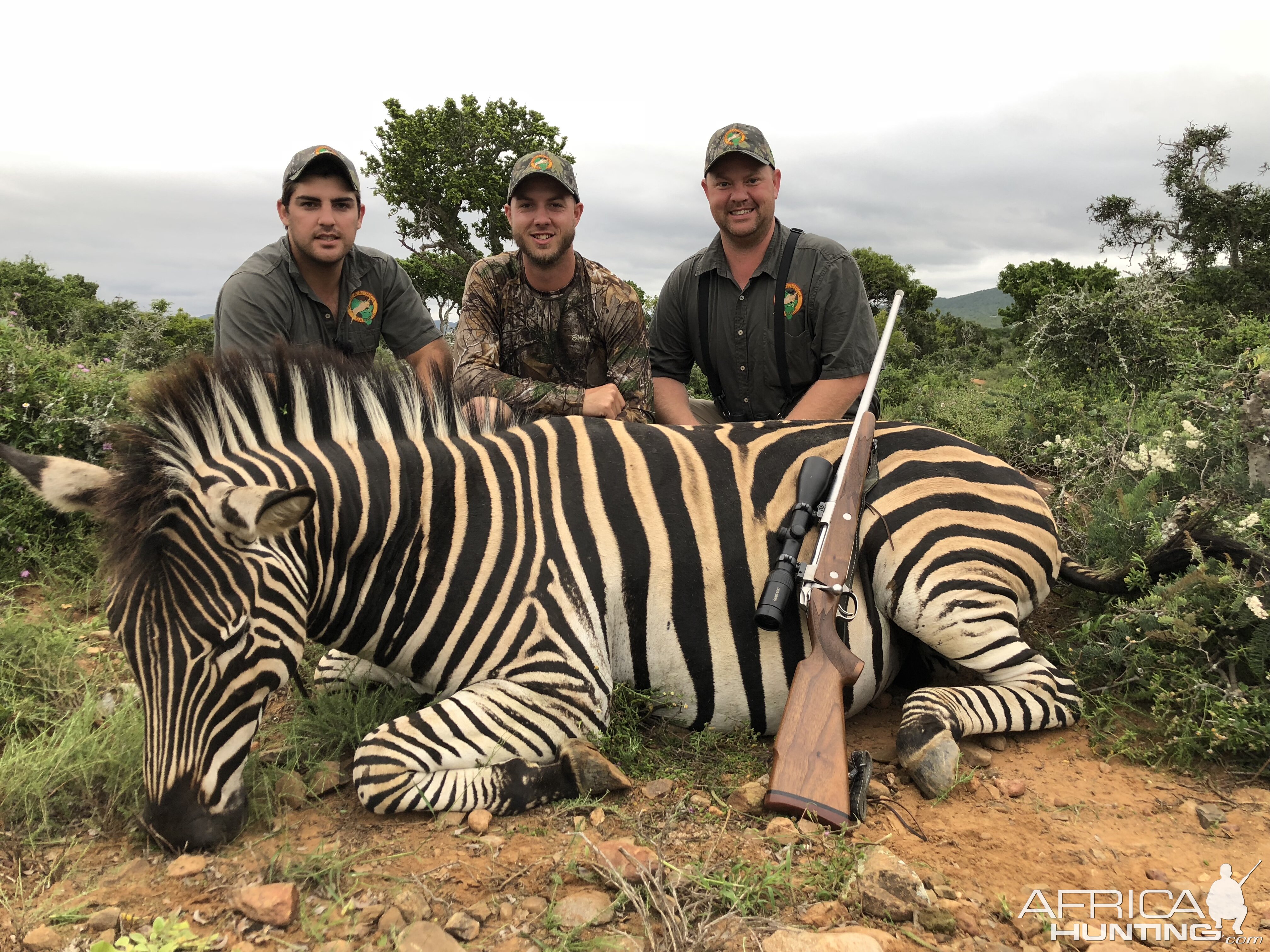 Burchell's Plain Zebra Hunting in South Africa