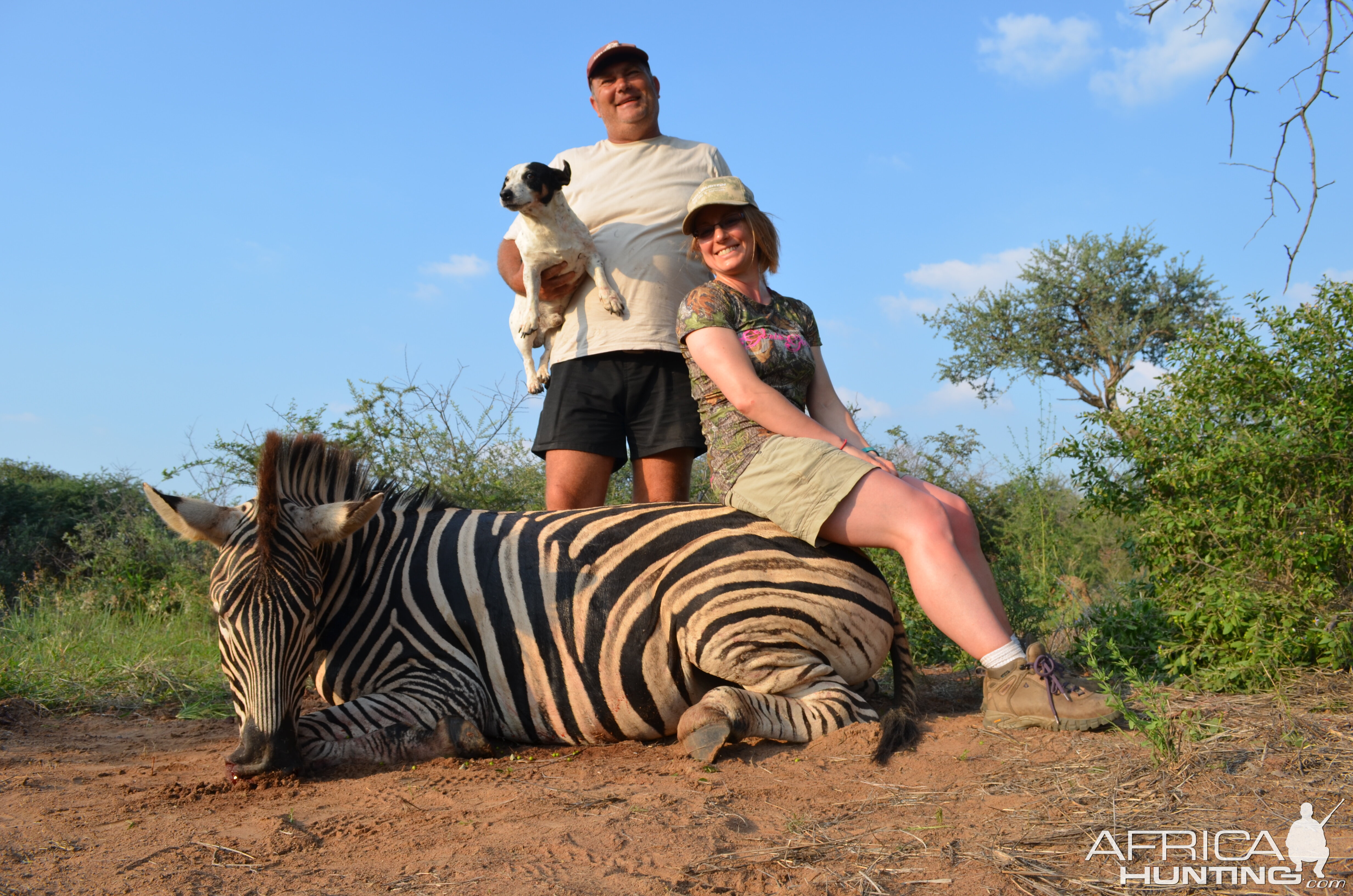 Burchell's Plain Zebra Hunting in South Africa