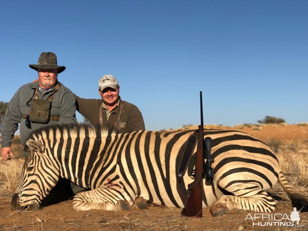 Burchell's Plain Zebra Hunting Namibia