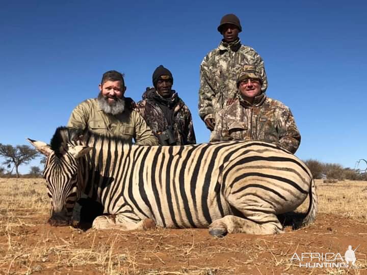 Burchell's Plain Zebra Hunting Namibia