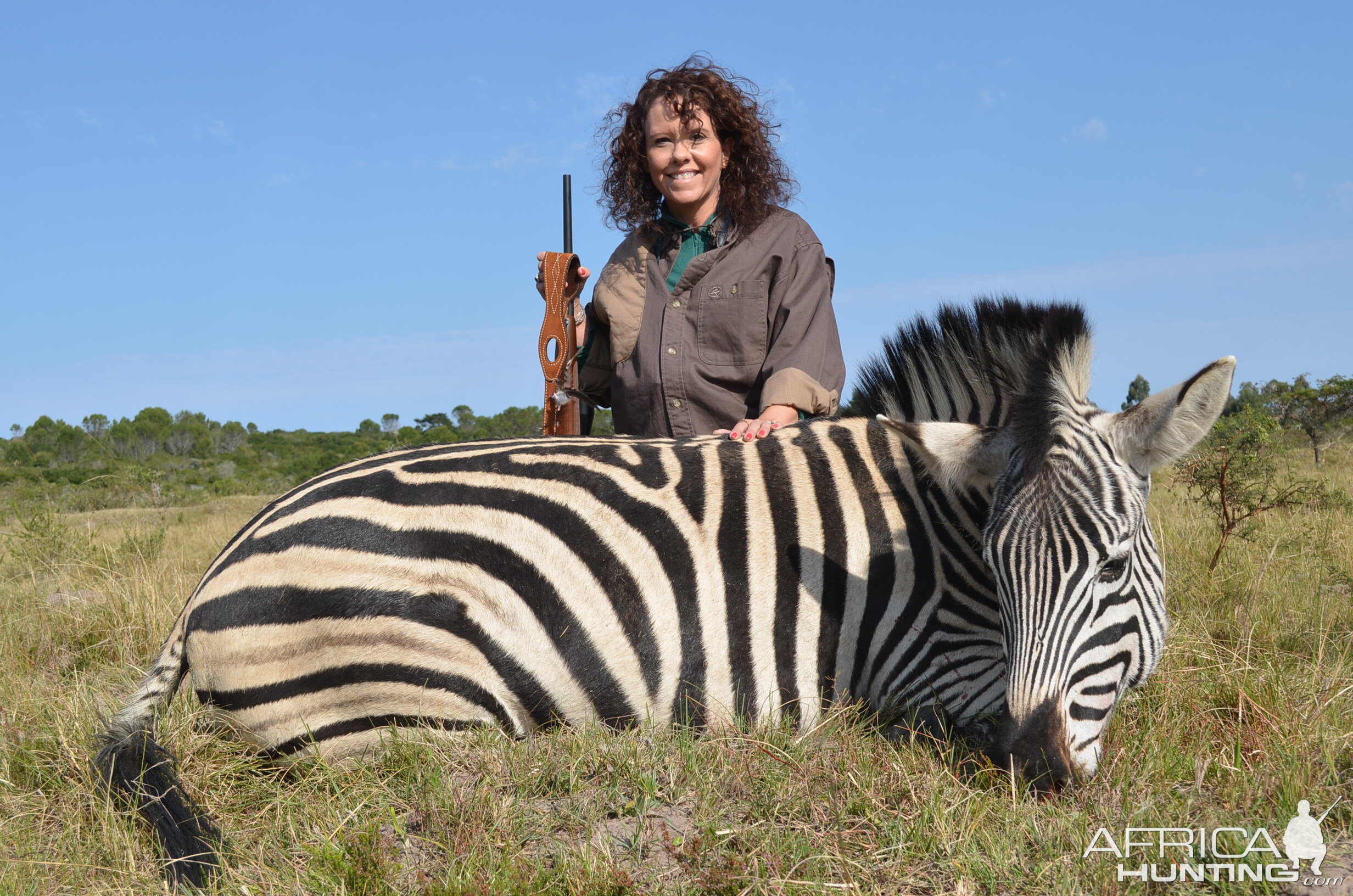 Burchell's Plain Zebra Hunting South Africa