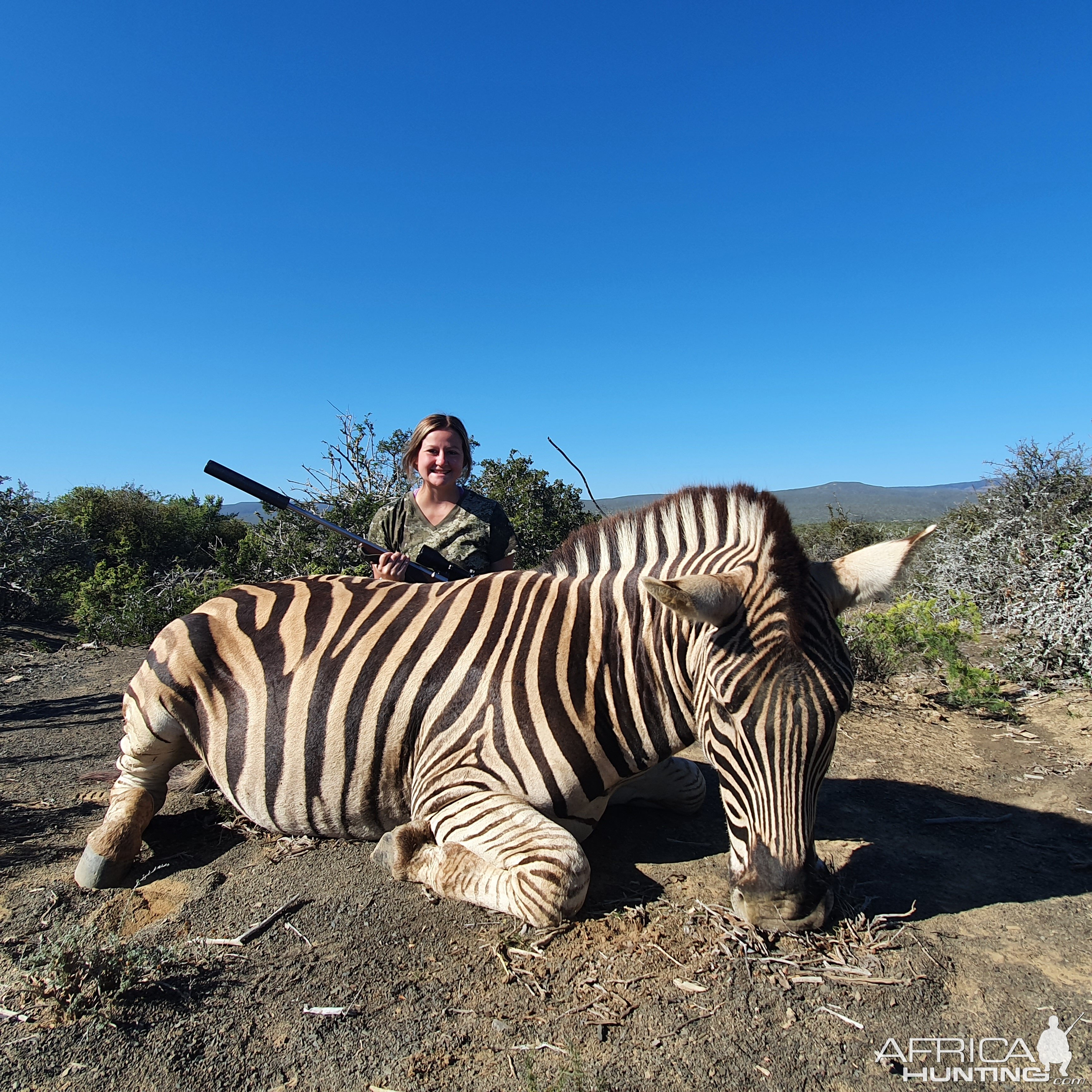 Burchell's Plain Zebra Hunting South Africa