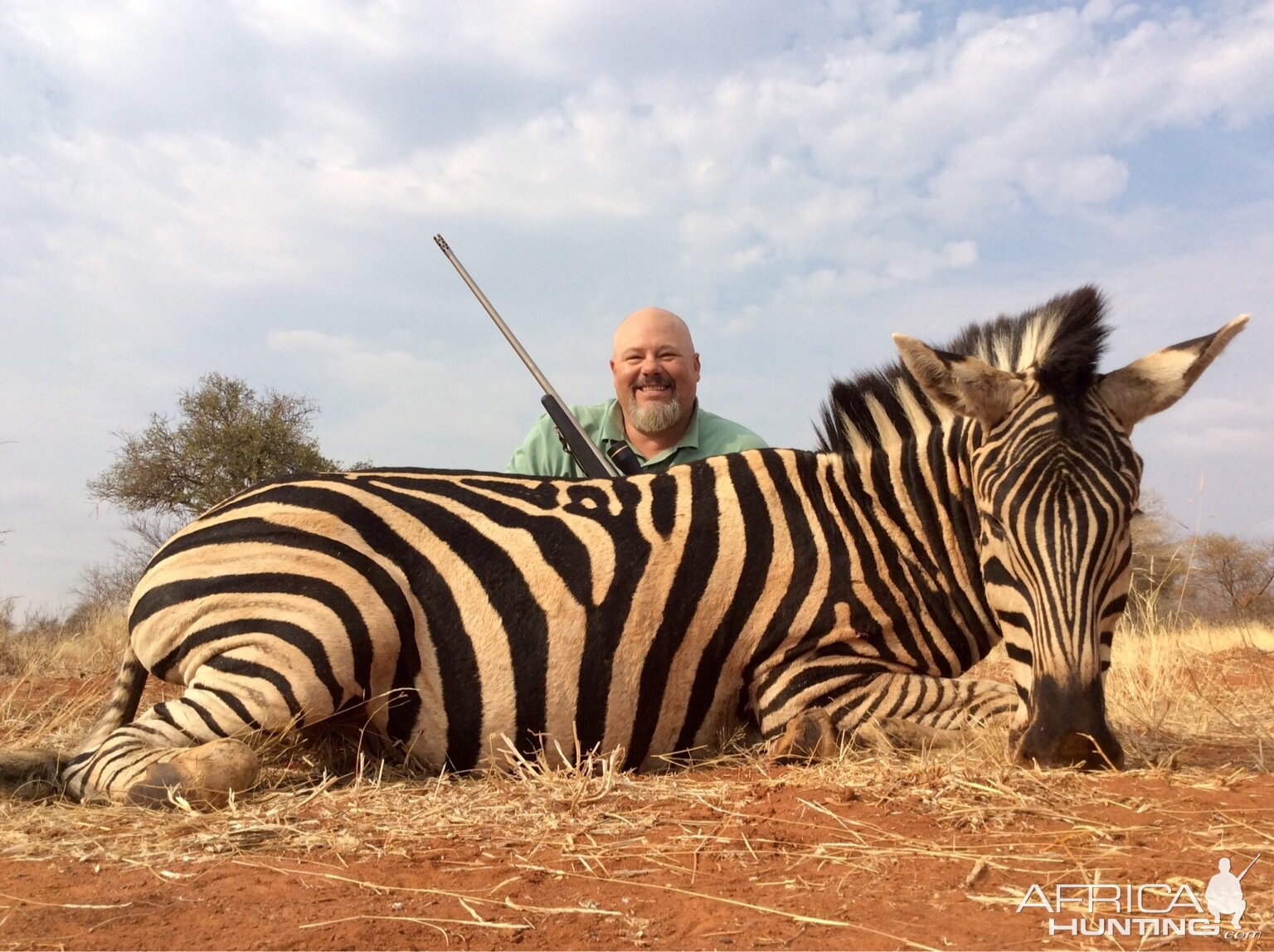 Burchell's Plain Zebra Hunting South Africa