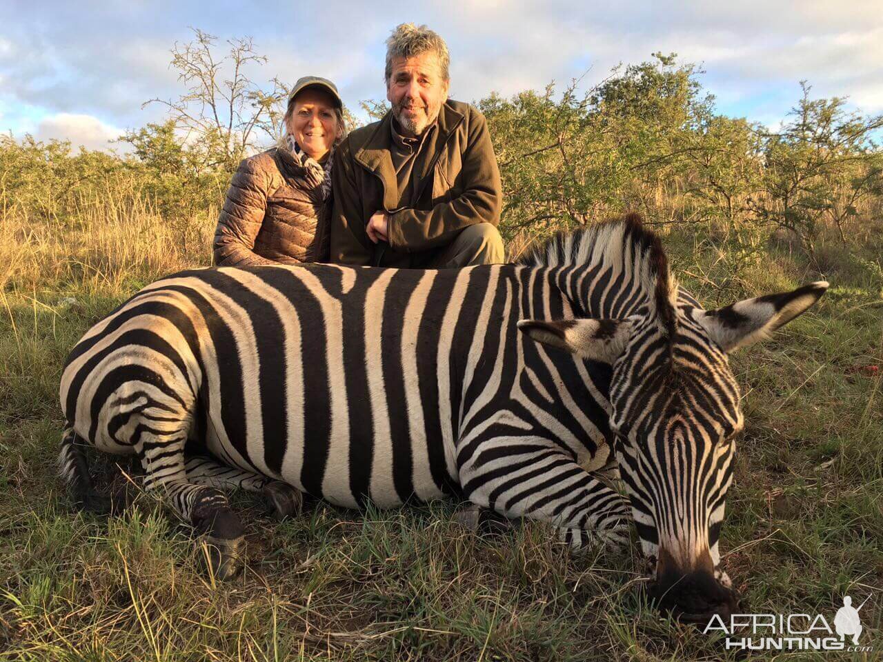 Burchell's Plain Zebra Hunting South Africa